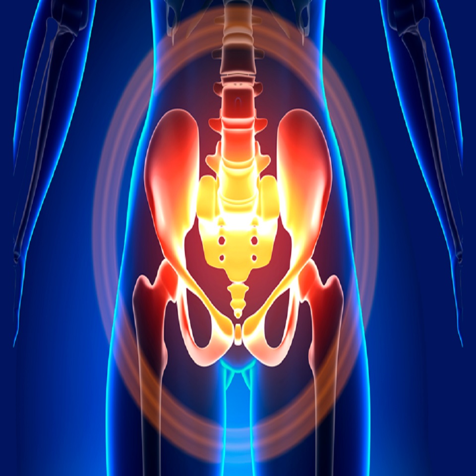 Blog Pact Center - Voc� conhece seus m�sculos do assoalho p�lvico?